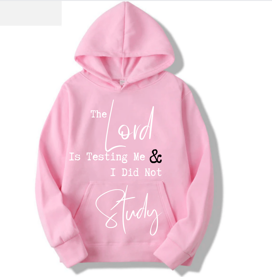 BEAUTY PINK LORD STUDY SWEATER